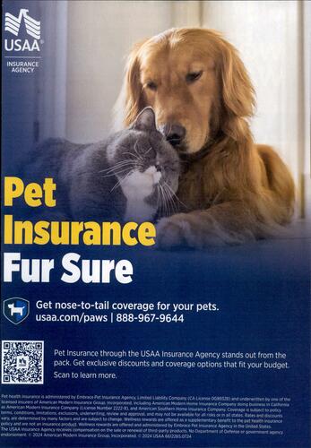 USAA Insurance campaigns first seen Mar 2025.