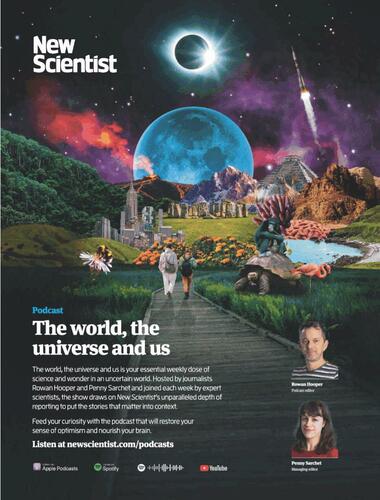 Daily Mail and General Trust campaigns first seen Sep 2025.