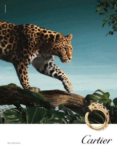 Cartier International campaigns first seen Oct 2025.