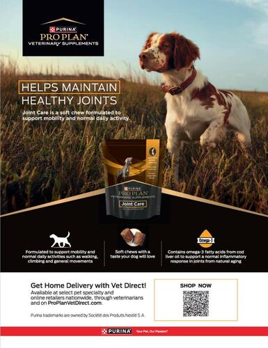 Purina Pro Plan Dog Food campaigns first seen Jul 2025.