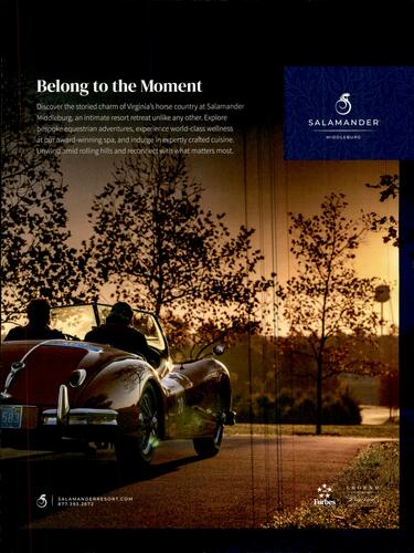 Salamander Hospitality campaigns first seen Oct 2025.