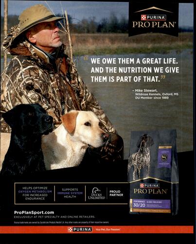 Purina Pro Plan Dog Food campaigns first seen Feb 2026.