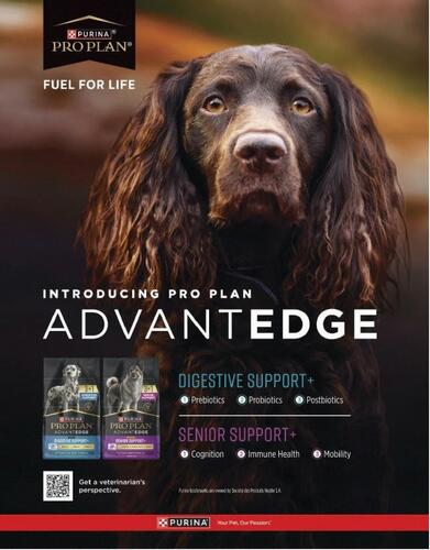 Purina ProPlan campaigns first seen Feb 2026.