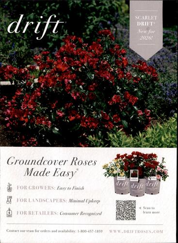 Star Roses & Plants campaigns first seen Mar 2026.