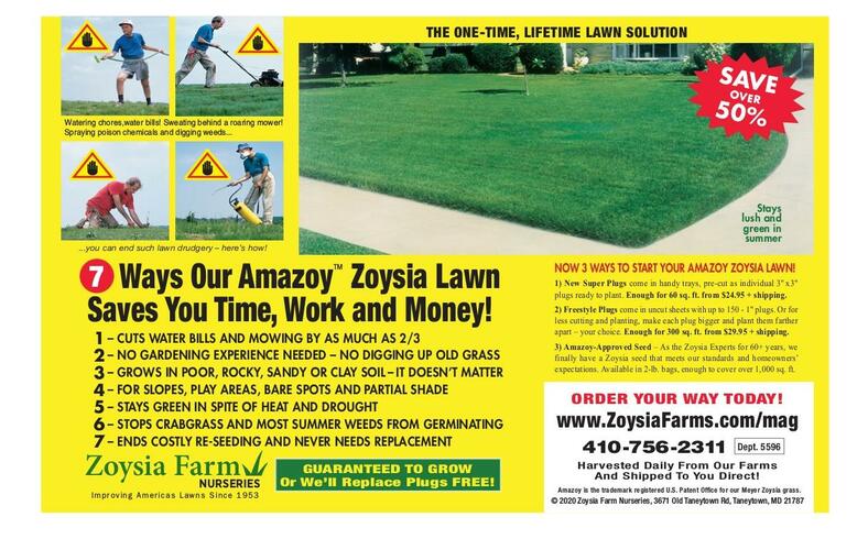 Zoysia Farm Nurseries | Advertising Profile | See Their Ad Spend ...