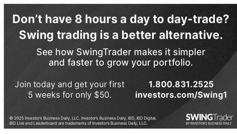 Investor's Business Daily campaigns first seen May 2025.