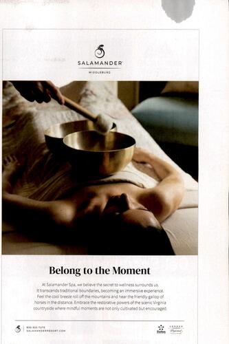 Salamander Hospitality campaigns first seen Feb 2025.