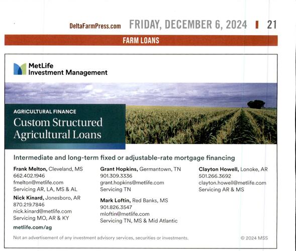 MetLife campaigns first seen Dec 2024.