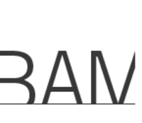 BAM Brooklyn Academy of Music